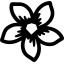 logo Herbarium